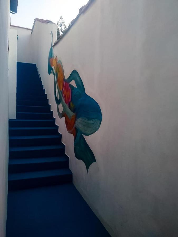 Trip Hostel E Suites อาร์ไฮยัล โด กาโบ ภายนอก รูปภาพ